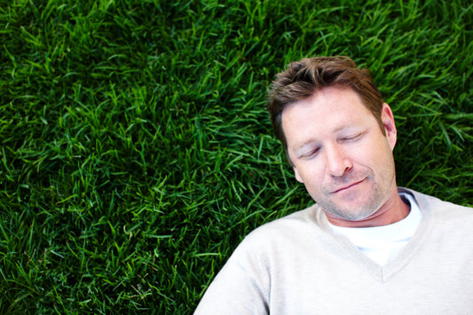 What Is Thatch? The Hidden Lawn Problem Most Durham Region Homeowners Don’t Know About - GreenFront Property Maintenance