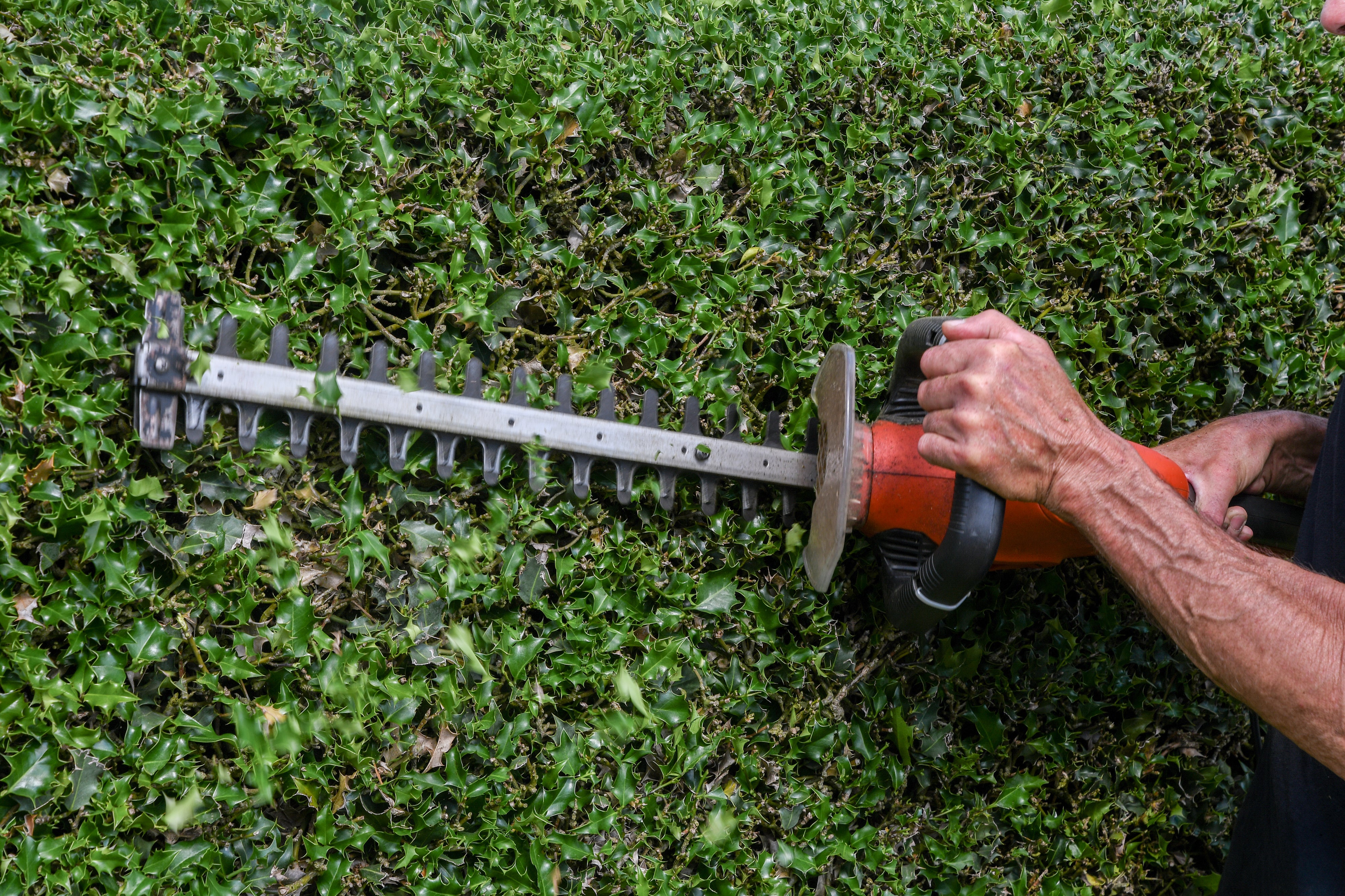 MAINTENANCE AND CLEANUPS