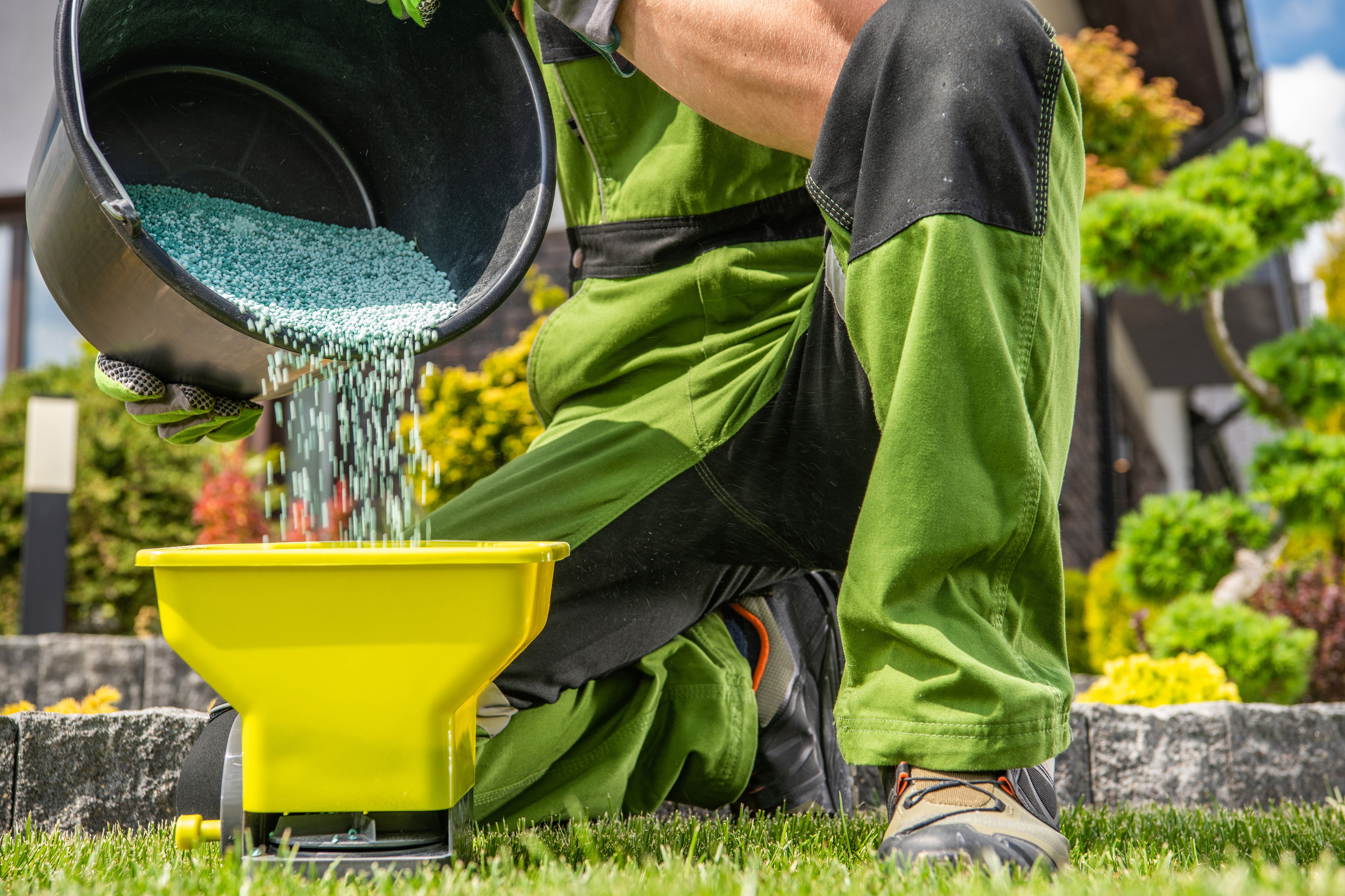 LAWN CARE